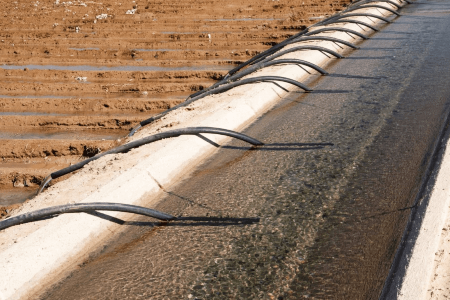 How Does a Water Siphon Work? Water Siphon New Zealand