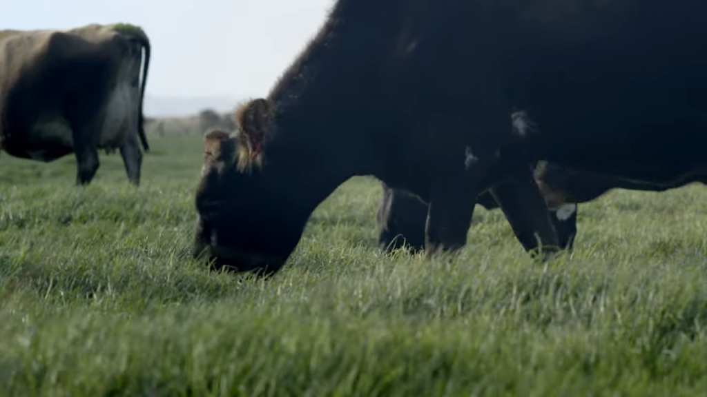 Water Siphon Drainage System